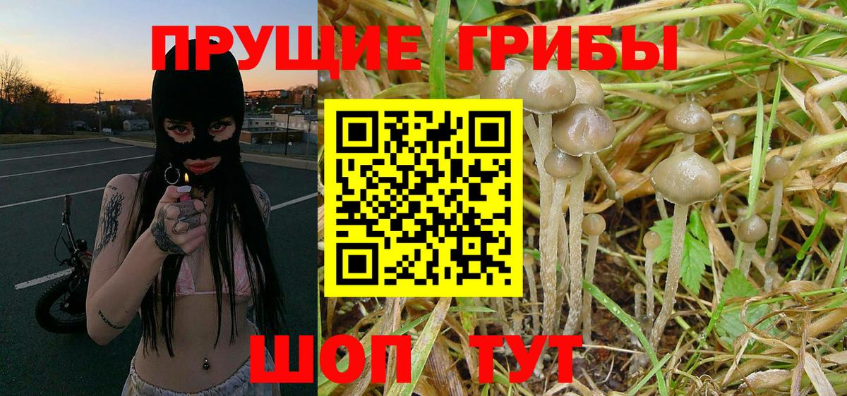 Галлюциногенные грибы ЛСД  Вход с VPN  Луга 