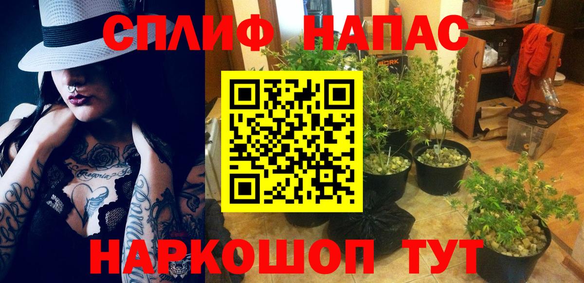Конопля AK-47  Вход с VPN  Луга  Бошки марихуана White Widow  Бошки Шишки сатива 